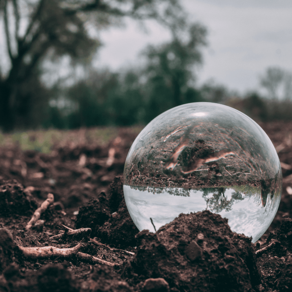 A ball of water reflecting a field and trees to represent how sources of nourishment change